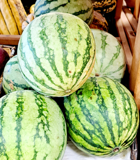Melon - Red Watermelon Mini